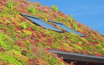 Drybrook living roof systems