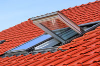 Drybrook roof window
